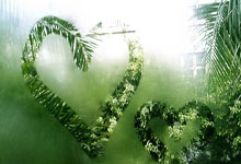 香港六合彩网站是否合法可靠？